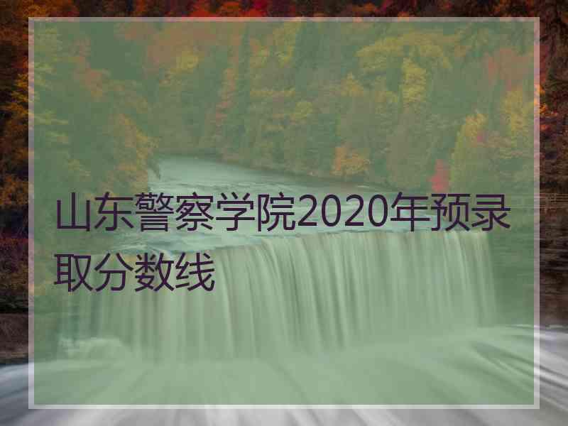 山东警察学院2020年预录取分数线