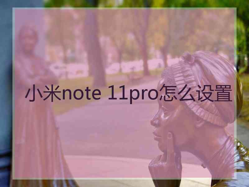 小米note 11pro怎么设置 小米note 11pro怎么设置