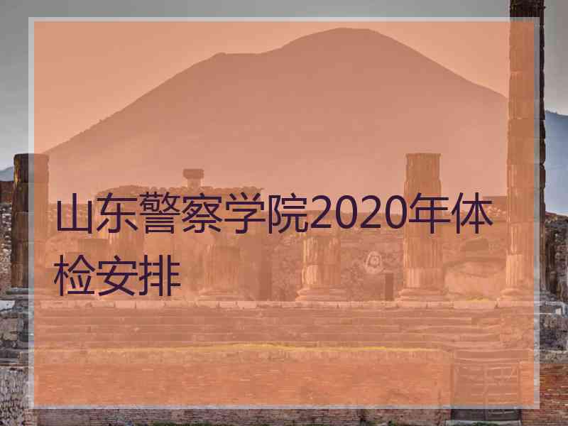山东警察学院2020年体检安排 山东警察学院2020年体检安排