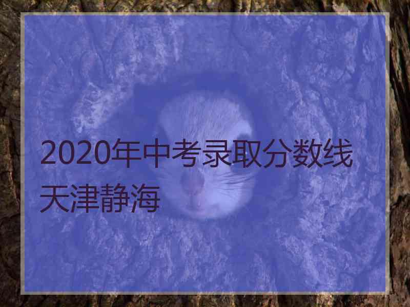 2020年中考录取分数线天津静海 2020年中考录取分数线天津静海
