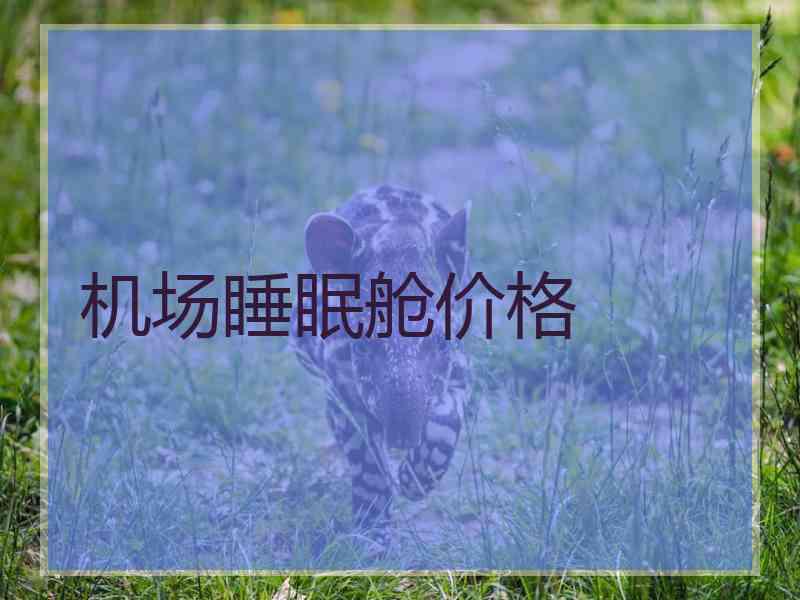 机场睡眠舱价格 机场睡眠舱价格