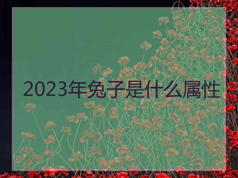 2023年兔子是什么属性 2023年兔子是什么属性