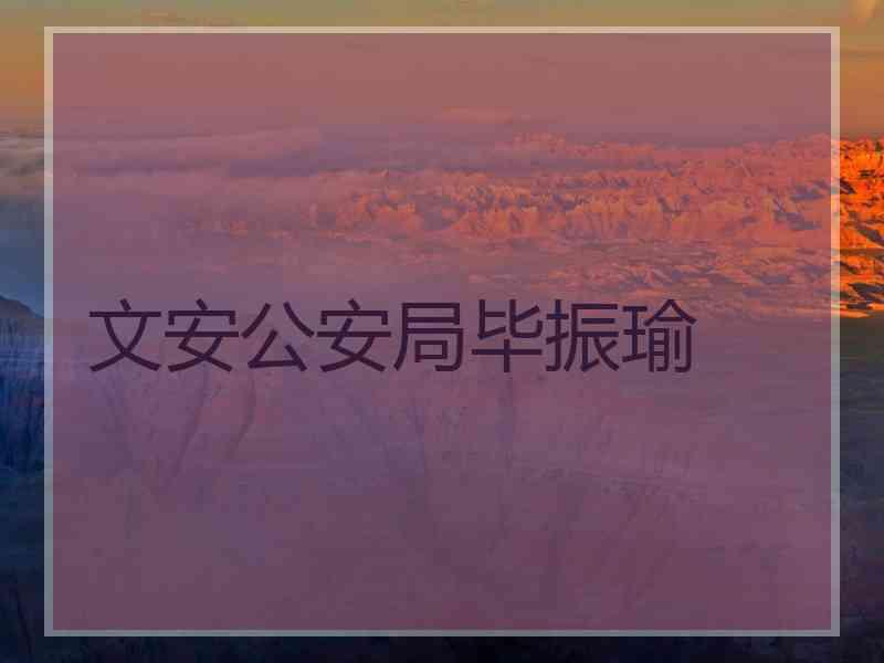 文安公安局毕振瑜 文安公安局毕振瑜