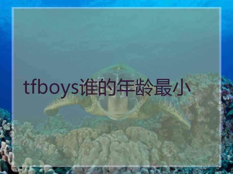 tfboys谁的年龄最小 tfboys谁的年龄最小