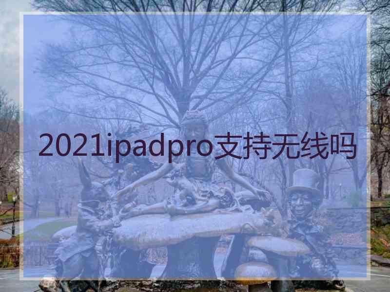 2021ipadpro支持无线吗
