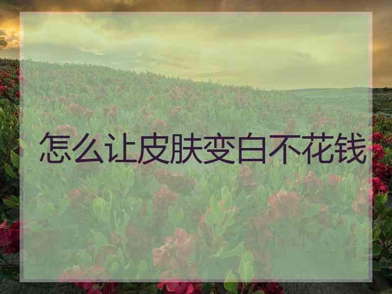 怎么让皮肤变白不花钱 怎么让皮肤变白不花钱