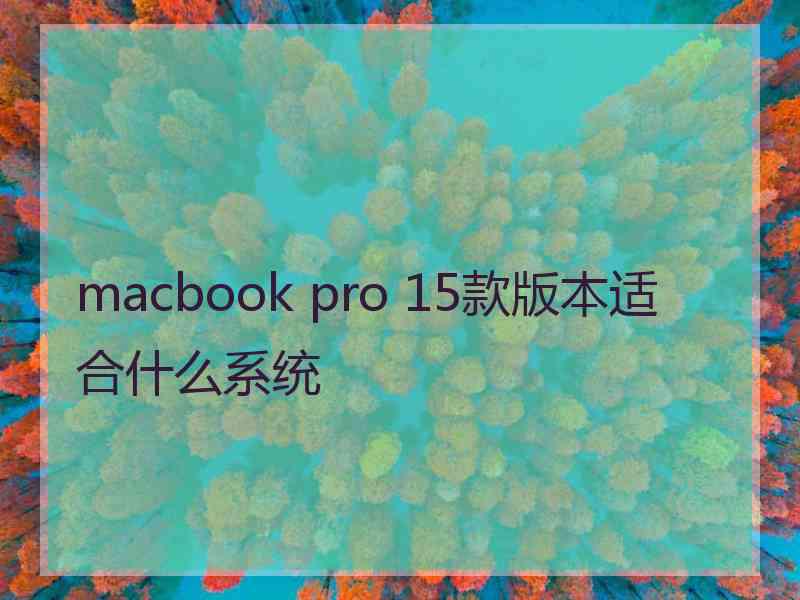 macbook pro 15款版本适合什么系统 macbook pro 15款版本适合什么系统