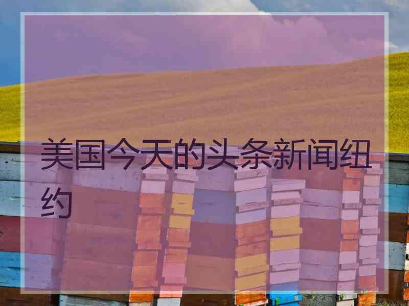 美国今天的头条新闻纽约