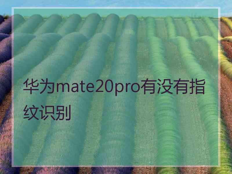 华为mate20pro有没有指纹识别 华为mate20pro有没有指纹识别