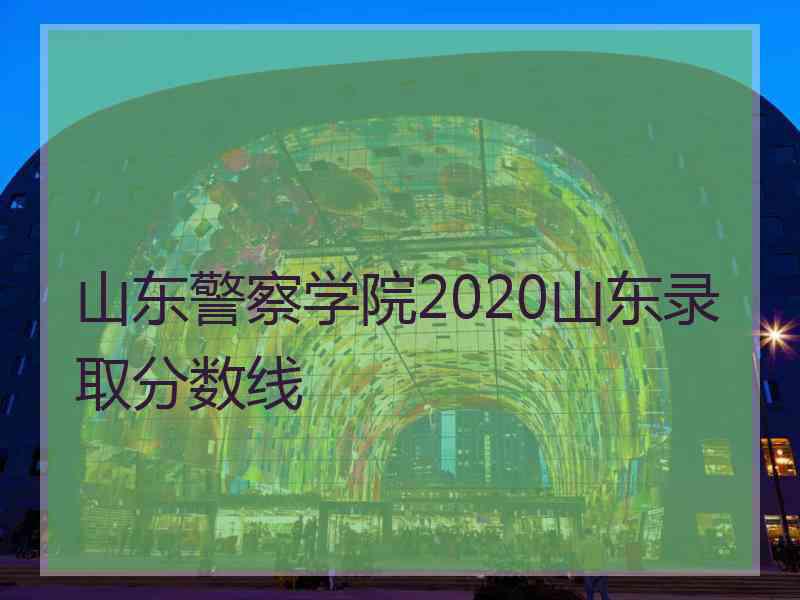 山东警察学院2020山东录取分数线