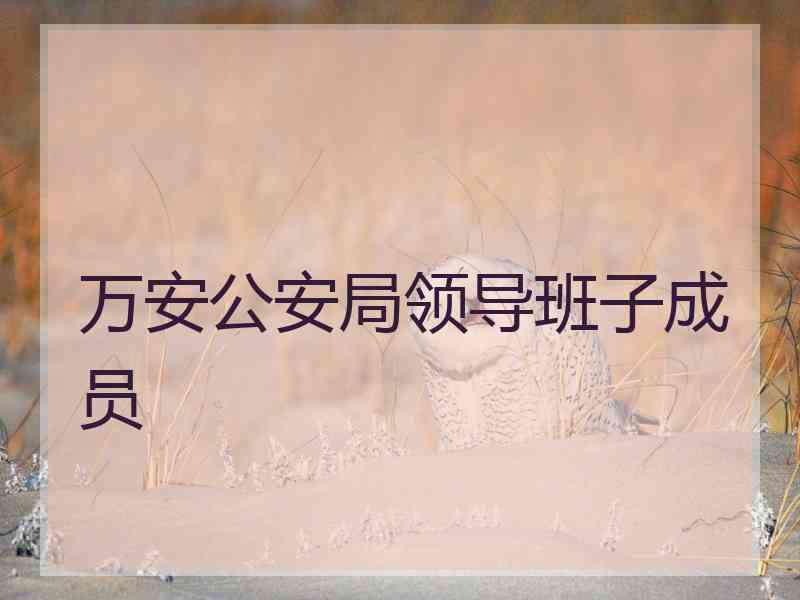 万安公安局领导班子成员 万安公安局领导班子成员