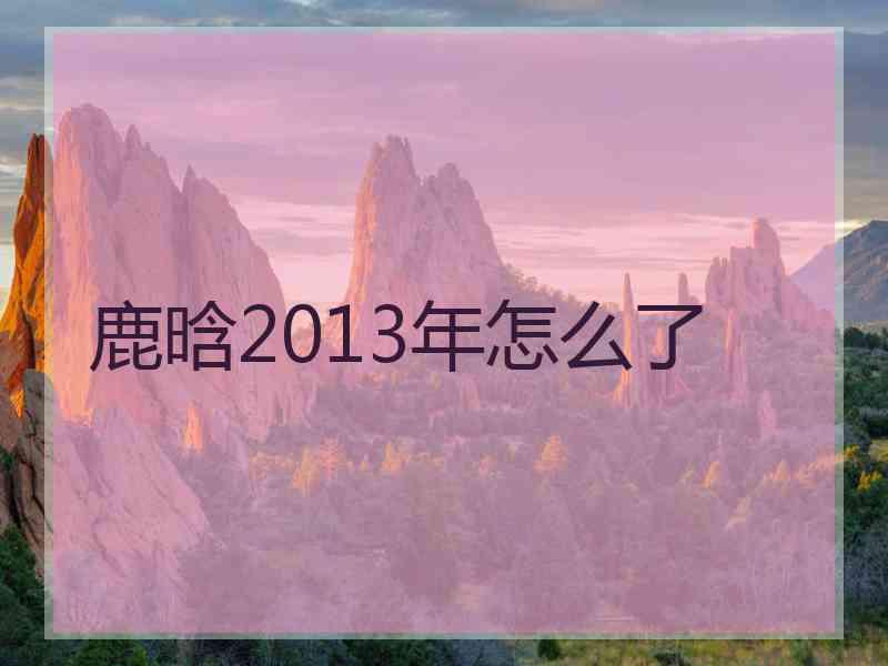 鹿晗2013年怎么了 鹿晗2013年怎么了
