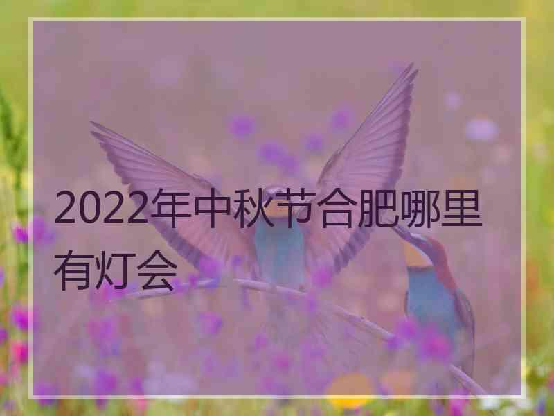2022年中秋节合肥哪里有灯会 2022年中秋节合肥哪里有灯会