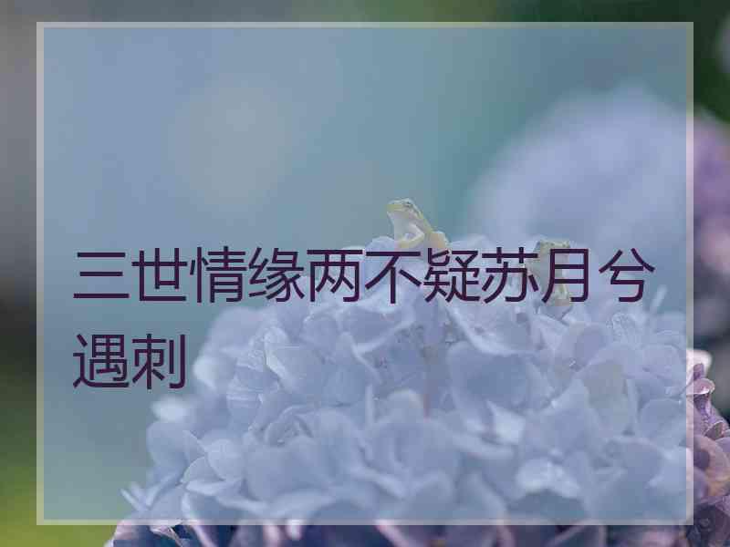 三世情缘两不疑苏月兮遇刺 三世情缘两不疑苏月兮遇刺