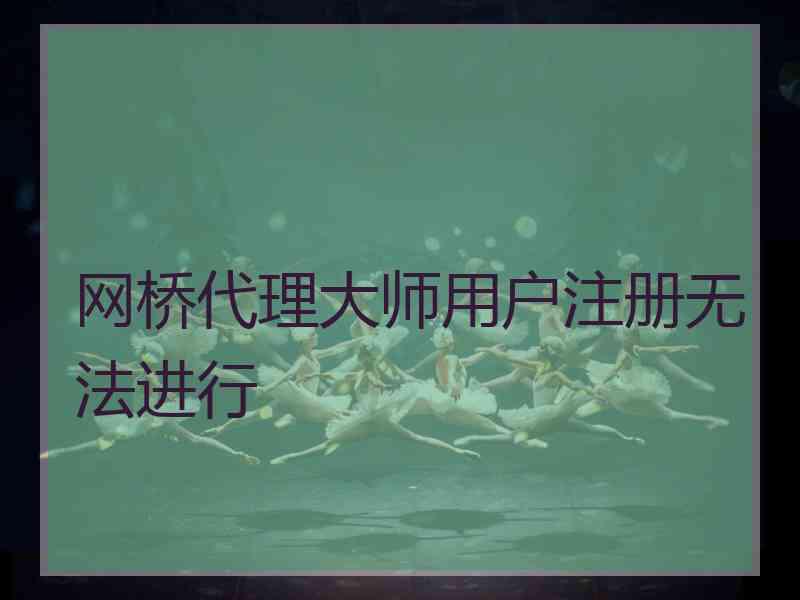 网桥代理大师用户注册无法进行 网桥代理大师用户注册无法进行