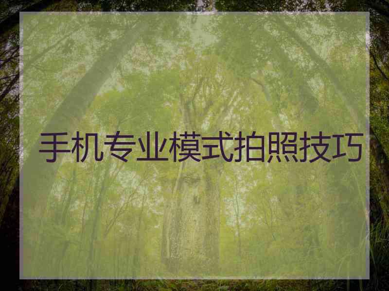 手机专业模式拍照技巧 手机专业模式拍照技巧