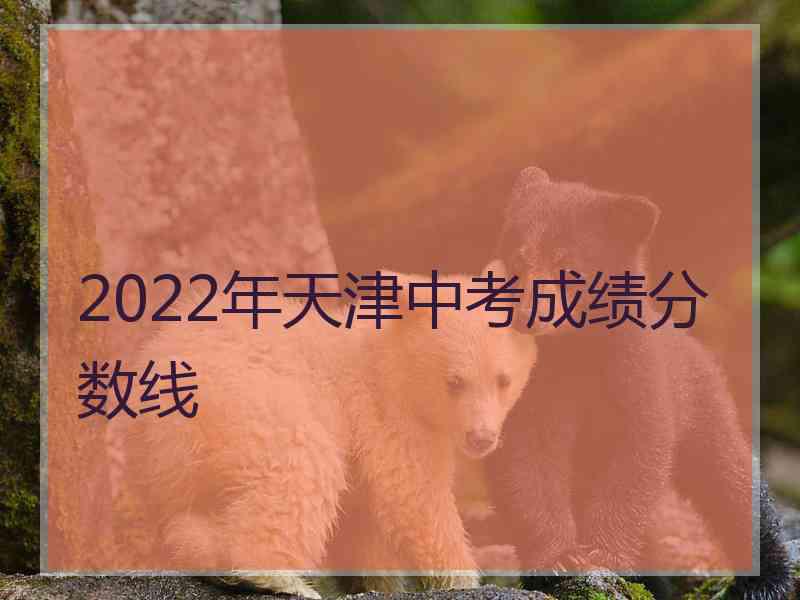2022年天津中考成绩分数线 2022年天津中考成绩分数线