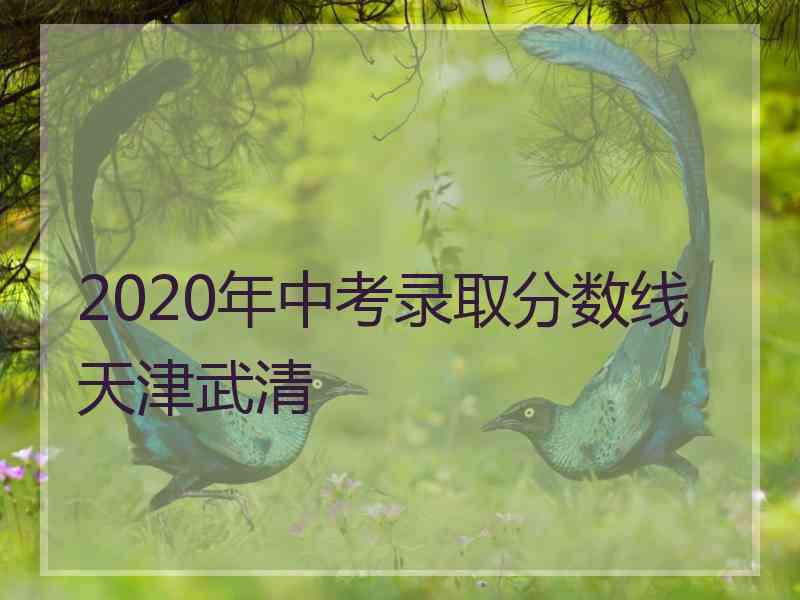 2020年中考录取分数线天津武清 2020年中考录取分数线天津武清