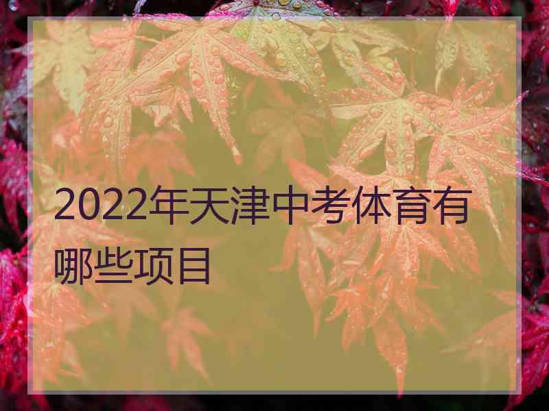2022年天津中考体育有哪些项目 2022年天津中考体育有哪些项目