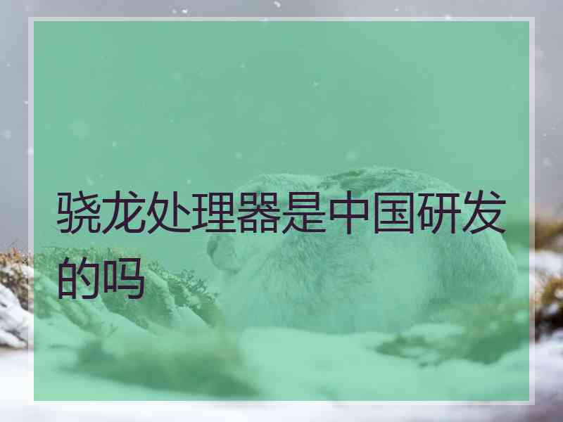 骁龙处理器是中国研发的吗