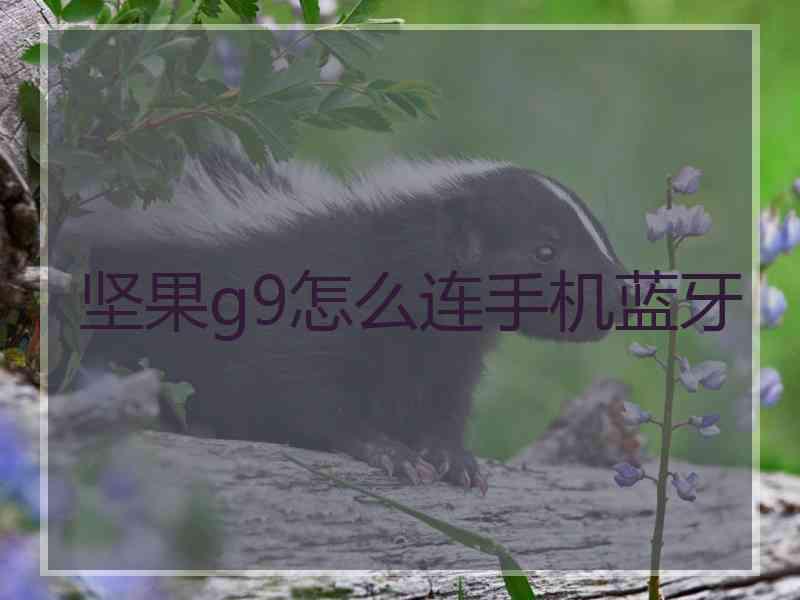坚果g9怎么连手机蓝牙 坚果g9怎么连手机蓝牙