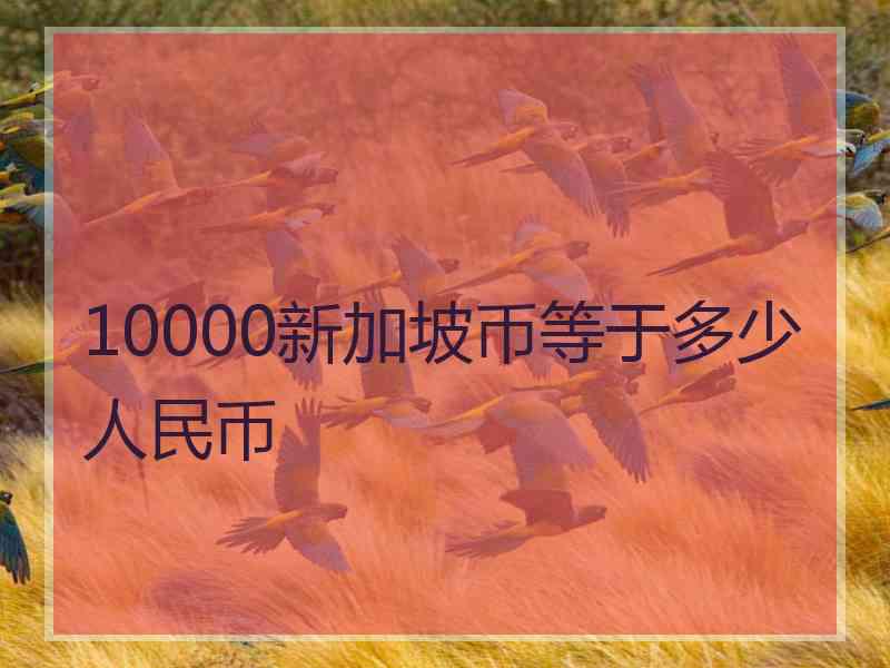 10000新加坡币等于多少人民币