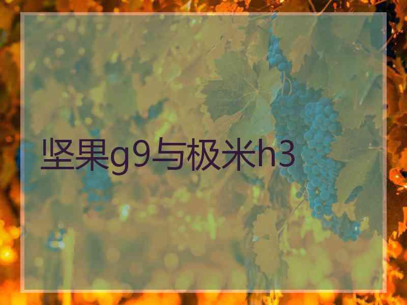 坚果g9与极米h3 坚果g9与极米h3