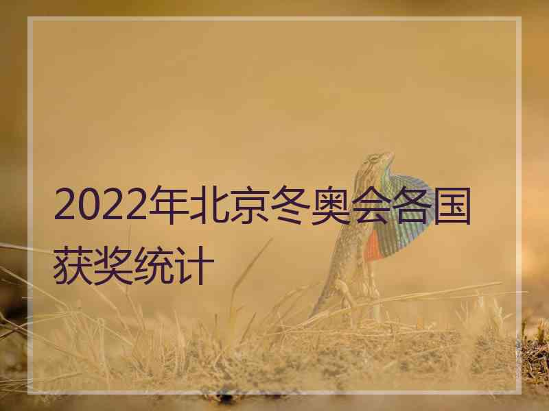 2022年北京冬奥会各国获奖统计 2022年北京冬奥会各国获奖统计