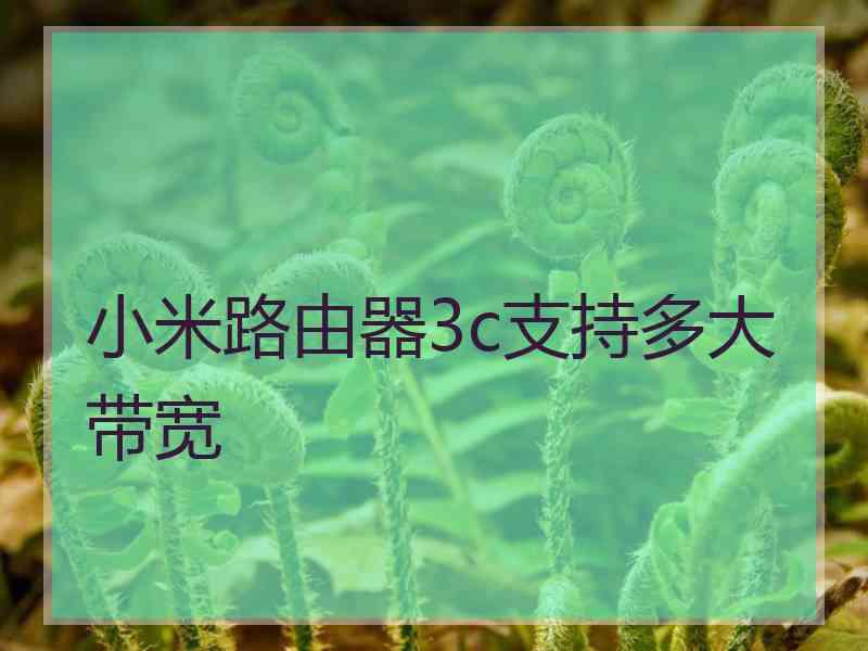 小米路由器3c支持多大带宽 小米路由器3c支持多大带宽