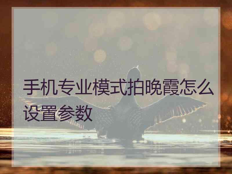 手机专业模式拍晚霞怎么设置参数 手机专业模式拍晚霞怎么设置参数