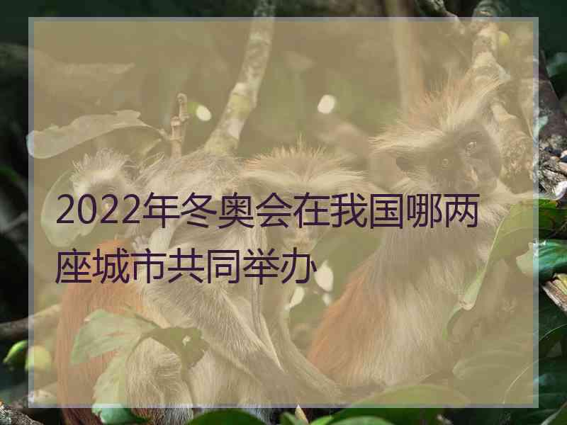2022年冬奥会在我国哪两座城市共同举办 2022年冬奥会在我国哪两座城市共同举办