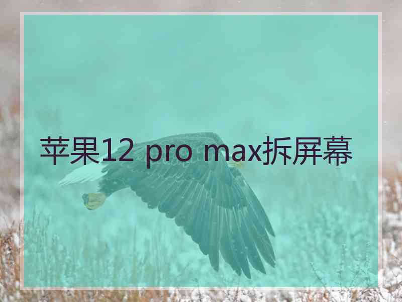 苹果12 pro max拆屏幕 苹果12 pro max拆屏幕