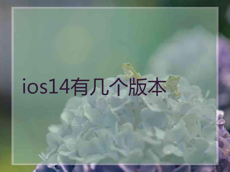 ios14有几个版本 ios14有几个版本