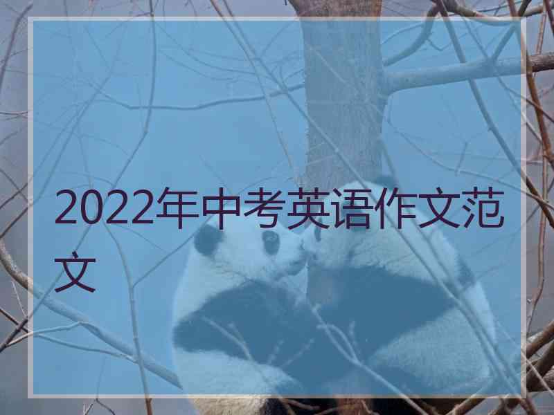 2022年中考英语作文范文 2022年中考英语作文范文