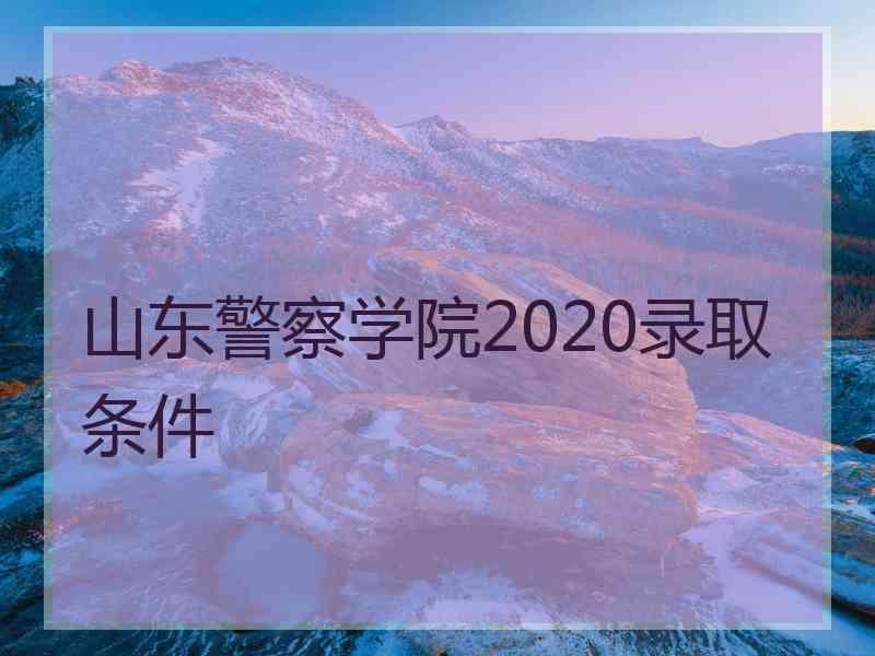 山东警察学院2020录取条件 山东警察学院2020录取条件
