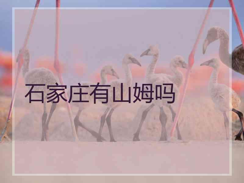 石家庄有山姆吗 石家庄有山姆吗