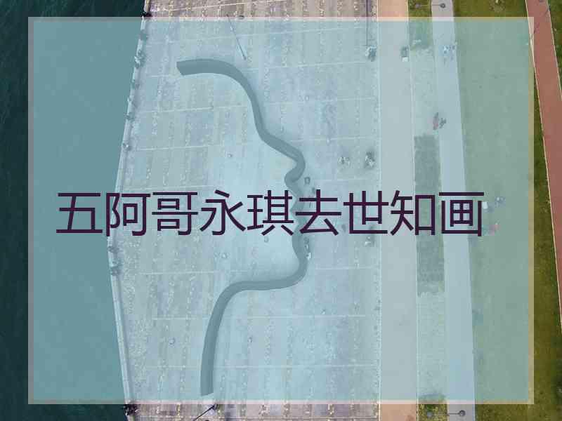 五阿哥永琪去世知画 五阿哥永琪去世知画