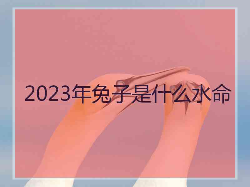 2023年兔子是什么水命 2023年兔子是什么水命