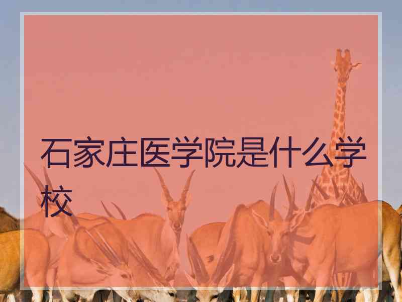 石家庄医学院是什么学校 石家庄医学院是什么学校