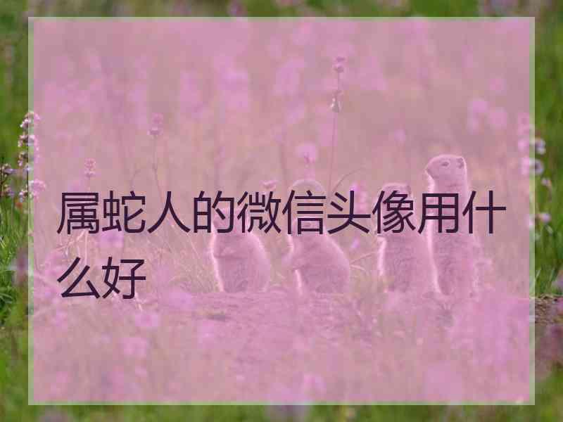 属蛇人的微信头像用什么好 属蛇人的微信头像用什么好