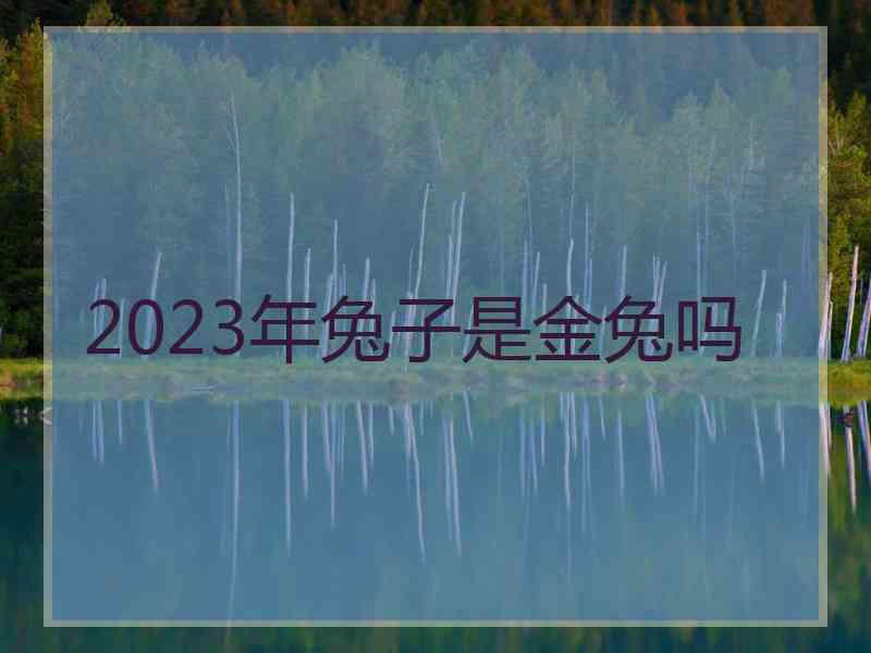2023年兔子是金兔吗 2023年兔子是金兔吗