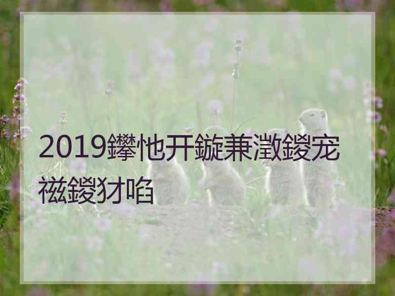 2019鑻忚开鏇兼澂鍐宠禌鍐犲啗 2019鑻忚开鏇兼澂鍐宠禌鍐犲啗