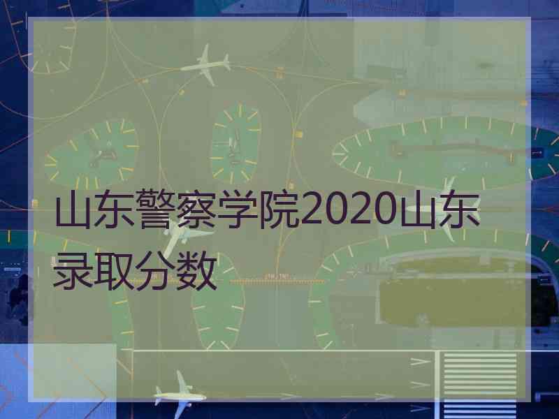 山东警察学院2020山东录取分数