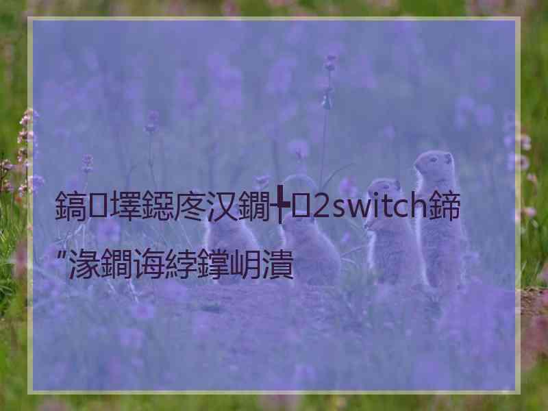 鎬墿鐚庝汉鐗╄2switch鍗″湪鐧诲綍鐣岄潰