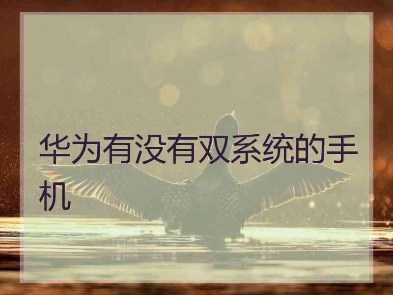 华为有没有双系统的手机 华为有没有双系统的手机