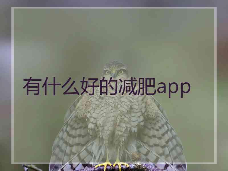 有什么好的减肥app 有什么好的减肥app