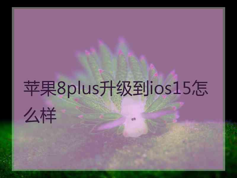 苹果8plus升级到ios15怎么样 苹果8plus升级到ios15怎么样