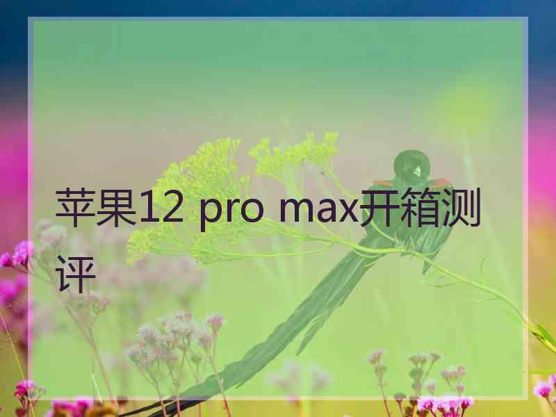 苹果12 pro max开箱测评 苹果12 pro max开箱测评