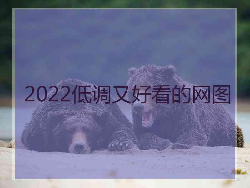 2022低调又好看的网图