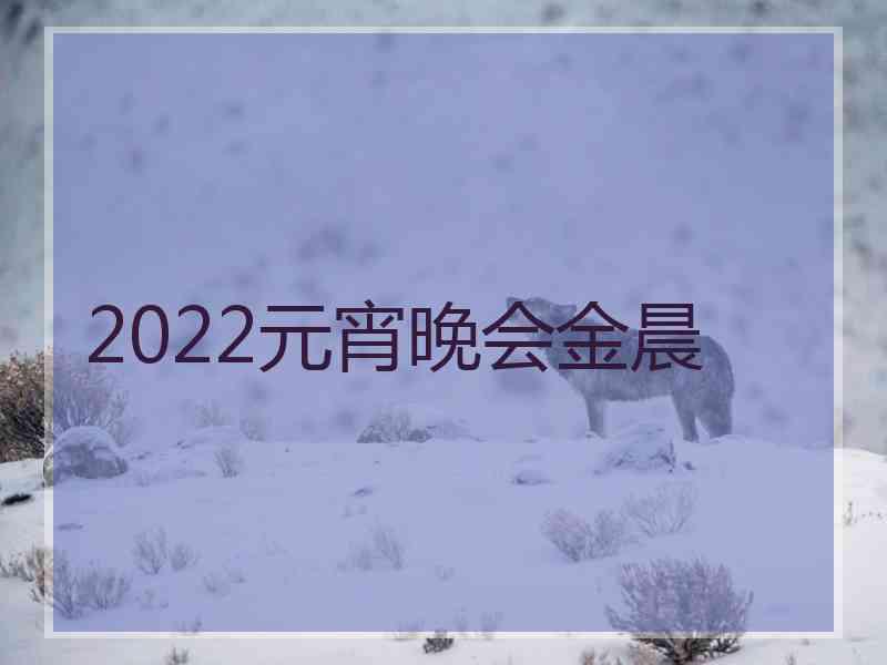 2022元宵晚会金晨 2022元宵晚会金晨